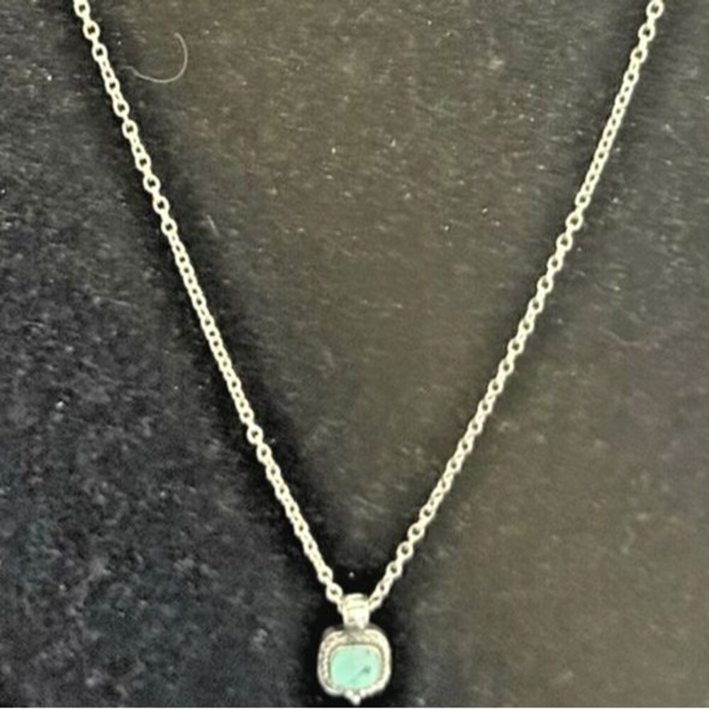 Turquoise W Soft Corners/Rope Accents 925 S.S.-Pendant -Monet Chain 22”